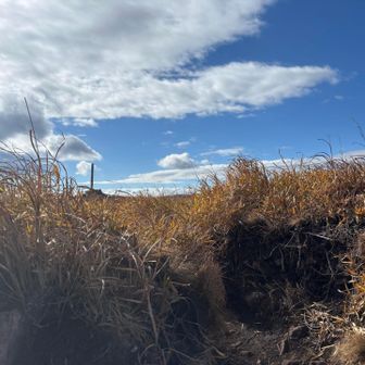 頂上が見えました