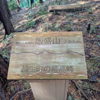 飯盛山って沢山あるのね