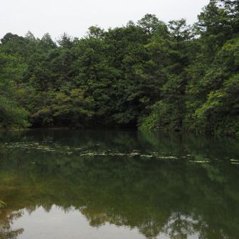 池がリフレしてステキ💓