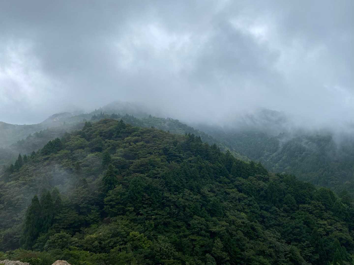 涼しい〜