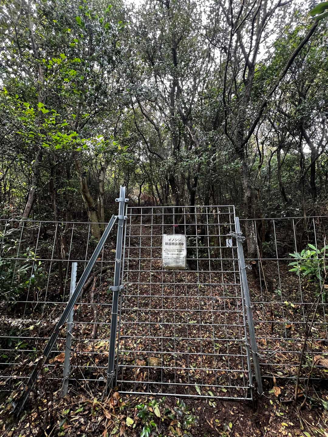 光岩登り口-西山-猿田山 往復コースの写真