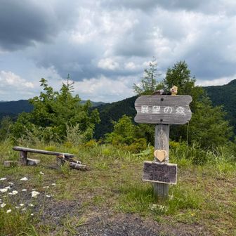 標高380m ひらけたピークです。