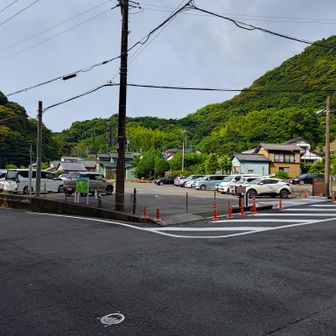 朝8時で5割くらい。