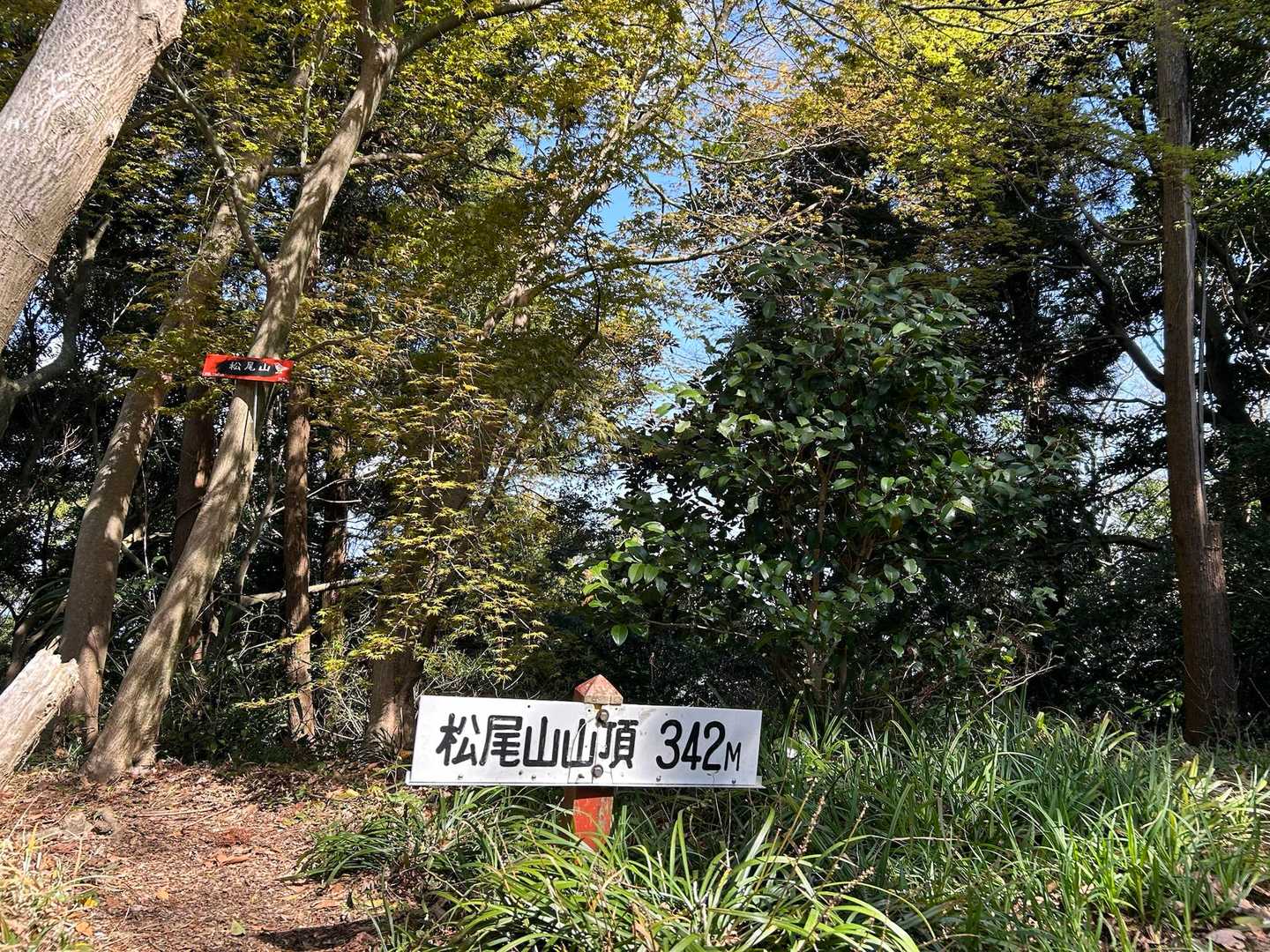 立花山 周回コースの写真