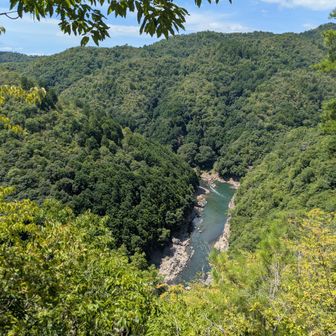 一瞬開けたところから、保津川がチラリ📸