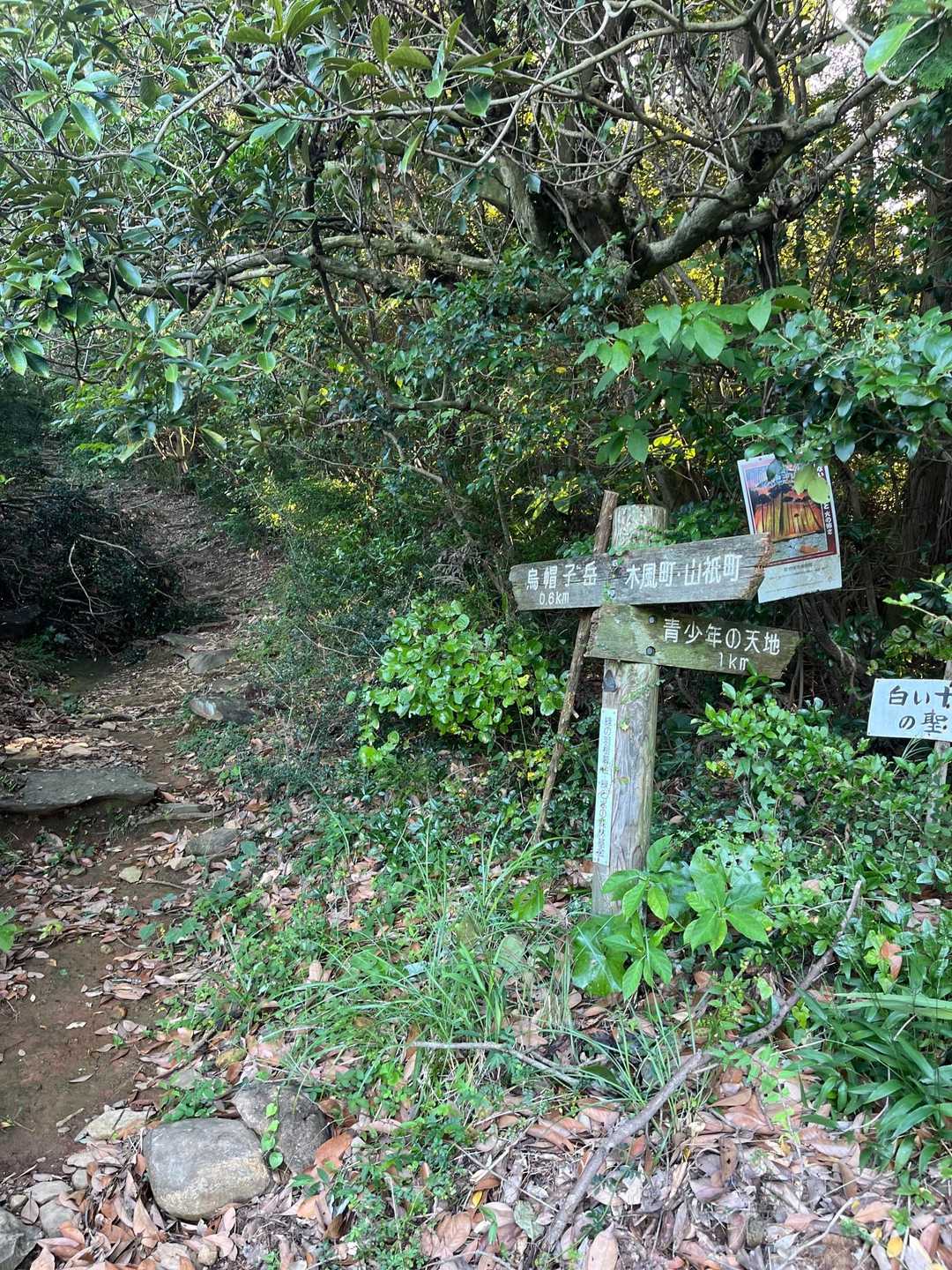 分岐点