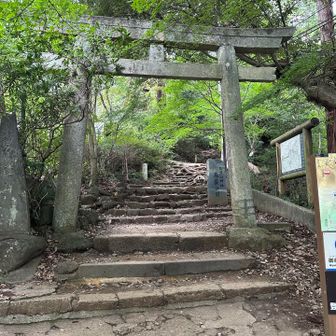 お世話になりました🙇‍♀️