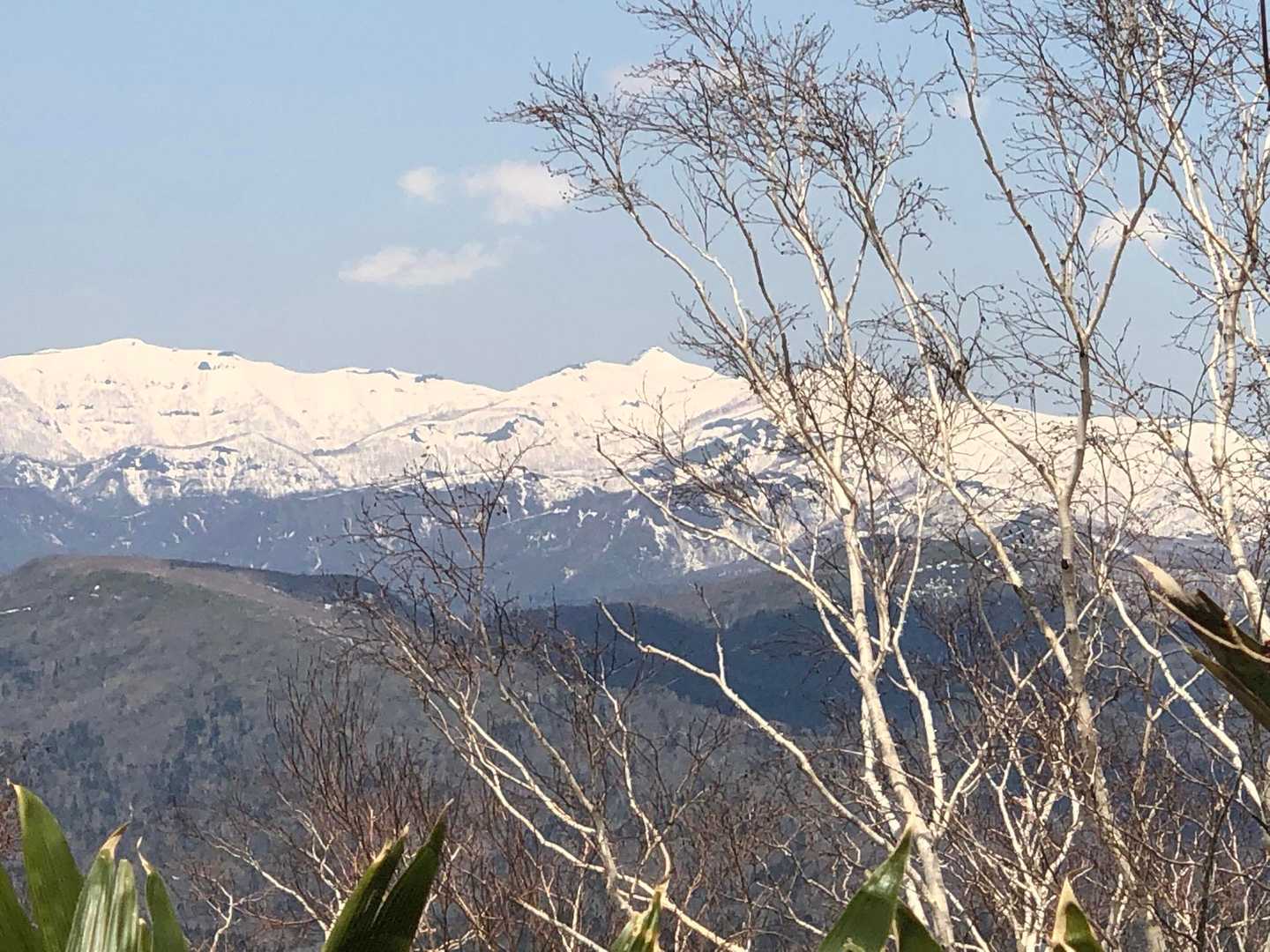 Bコース登山口-神居尻山-開拓台-Cコース登山口 周回コースの写真