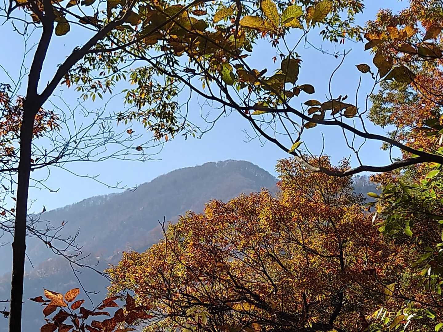 あそこまで登ります
と言ったら，連れがえ～(;^_^Aって言ってました
