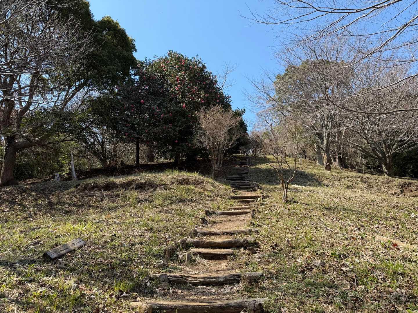 最後は階段
ふくらはぎがピリピリいってる😁