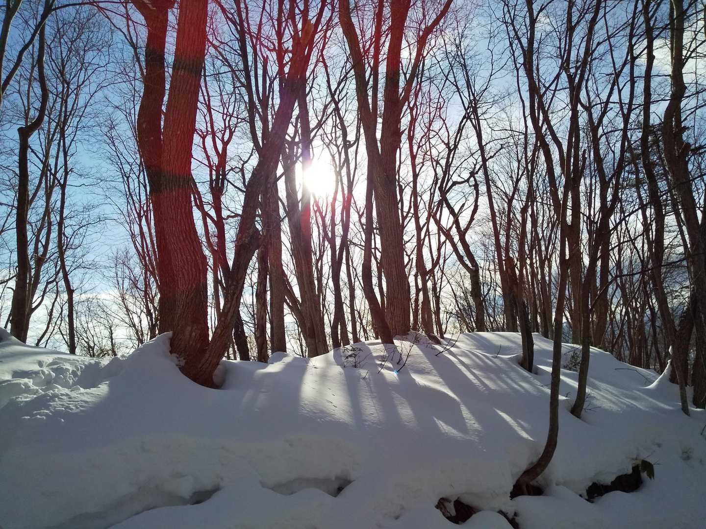 🌞✨