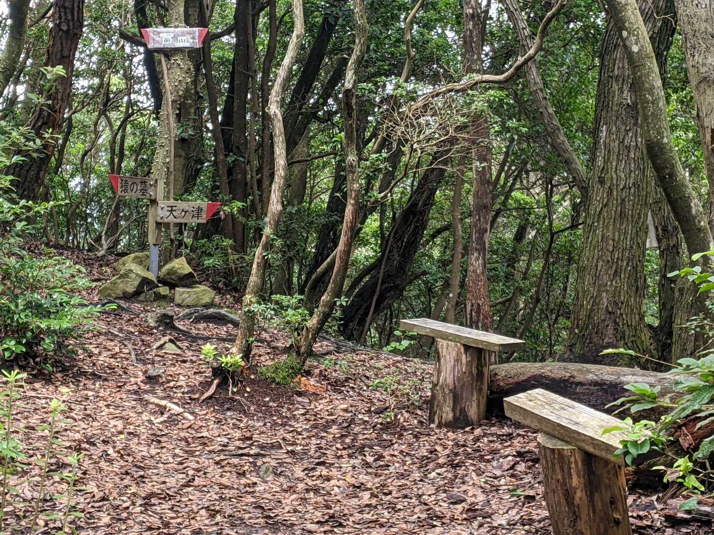 前山382mに到着。