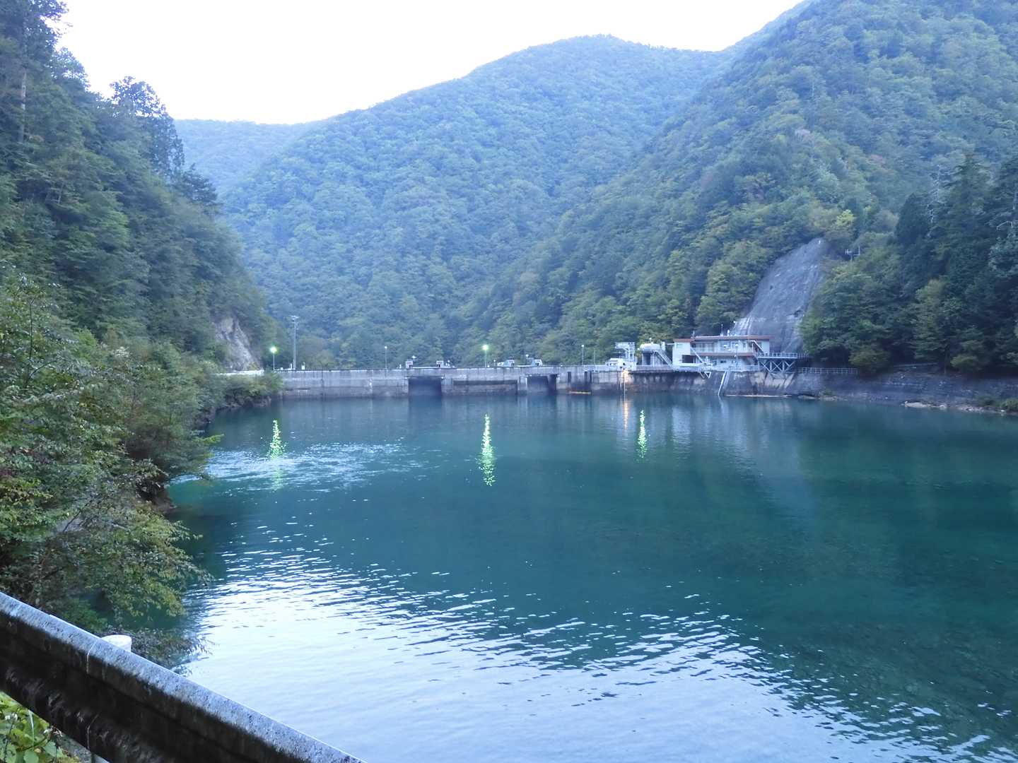 緑色の綺麗な水面です。