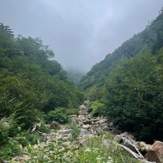 ずっと沢沿いを上ります