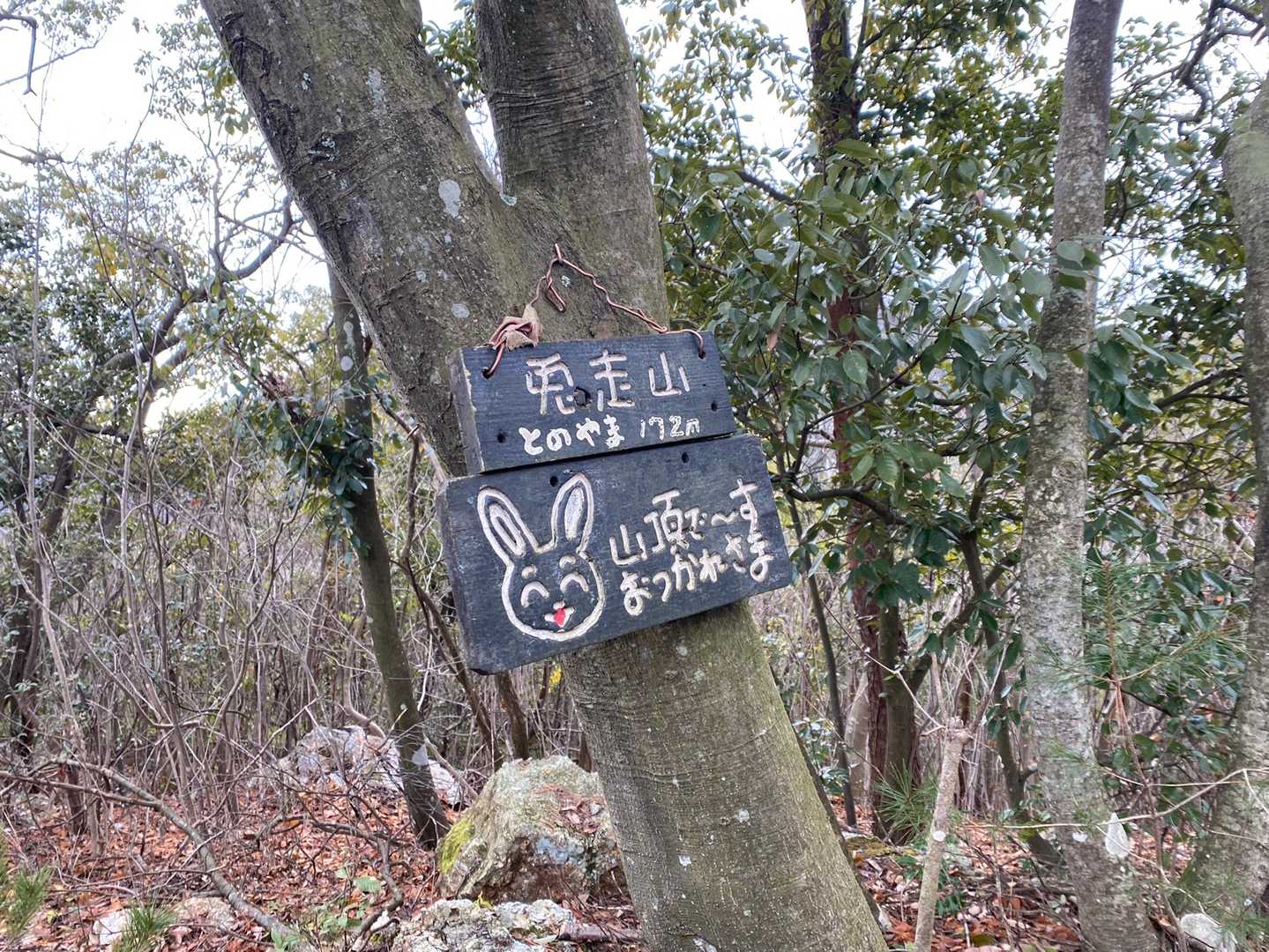 山頂看板もかわいい！