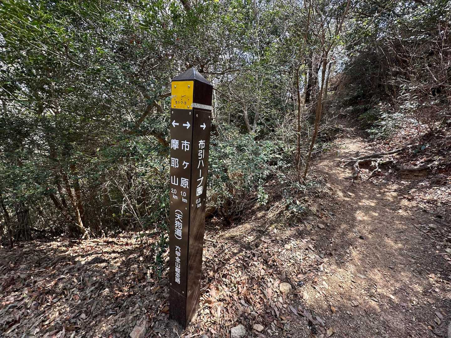 摩耶山⛰️へあと2㎞