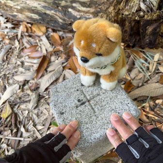三角点にタッチ👍