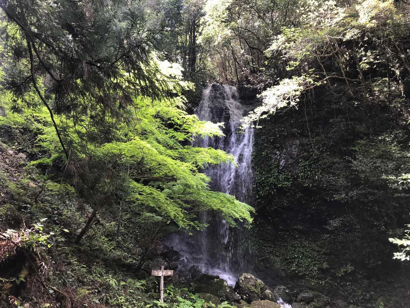 涼みの滝。今日は水量が多くて美しかったです。