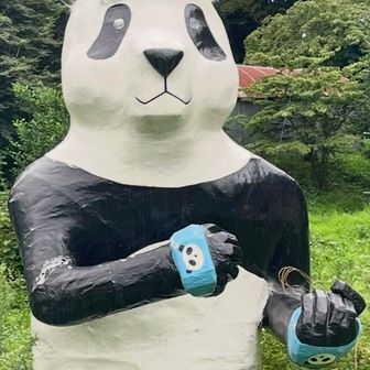 タケ