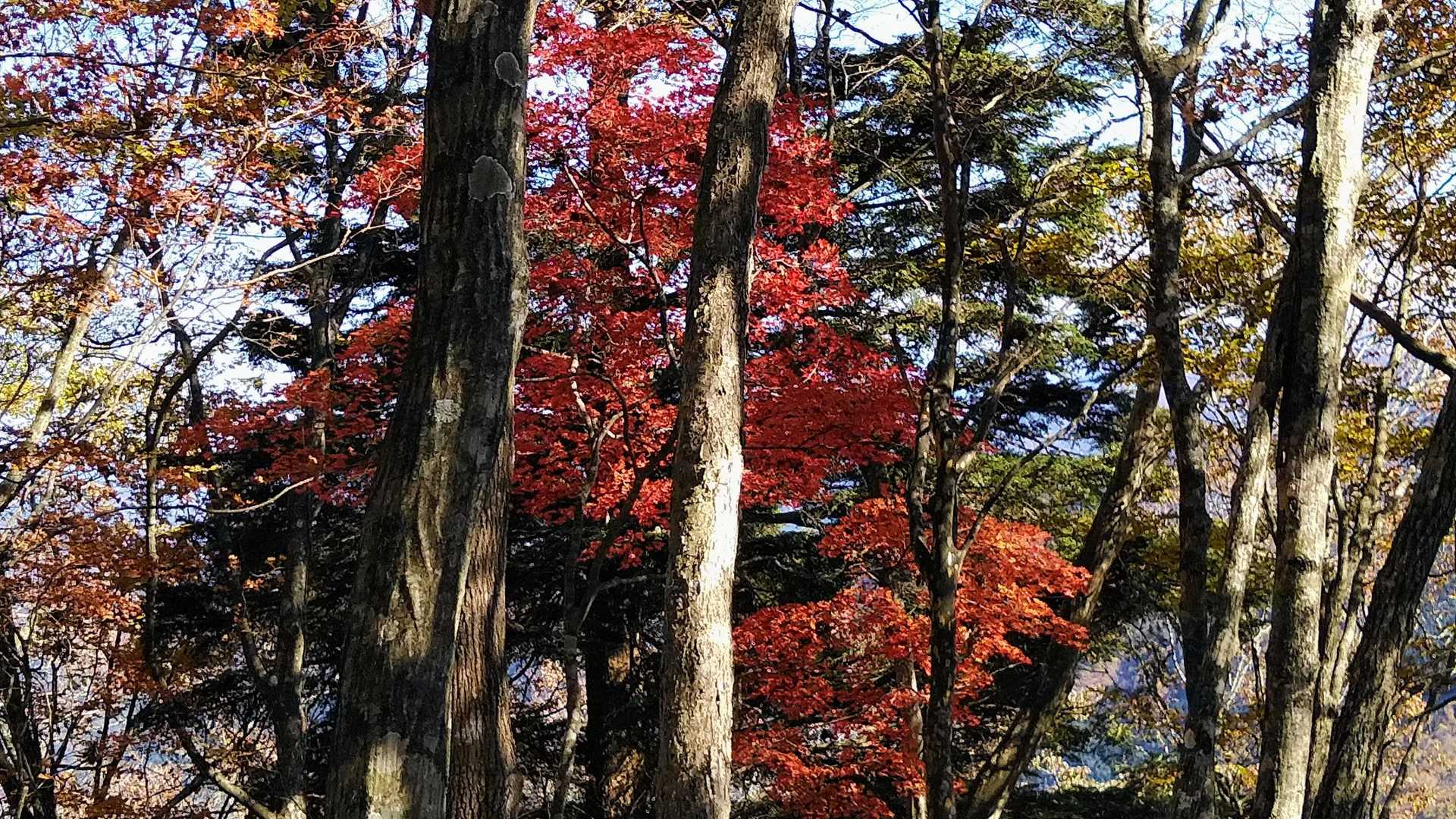 風呂塔-火打山-白滝山 周回コースの写真