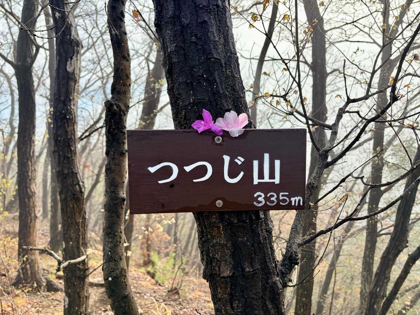 出尾根コース登山口-三床山-天ヶ岳-林山-金原山 周回コースの写真