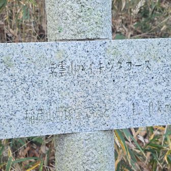 石の標識がいっぱいあるけど　写真は読みにくい…