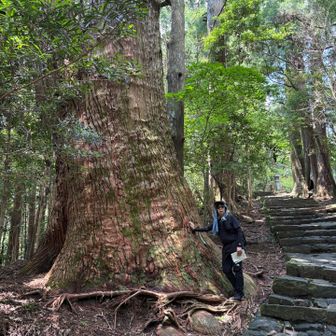 この大きさ、屋久島かと勘違いしそうです🤣