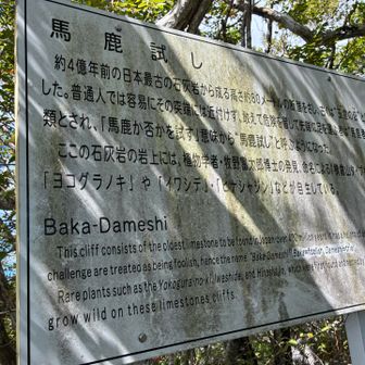 こんな由来があったのね
