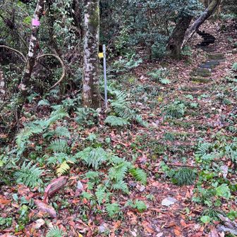 本番コースはここまで、戻ります