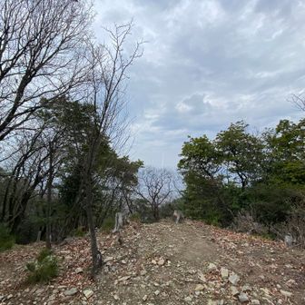 写真だとどんよりしてますね（空