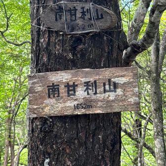 まだ時間あるね！と言うことで南甘利山のピークも取ることに☺️