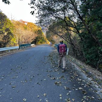 後は舗装路を歩いて戻ります