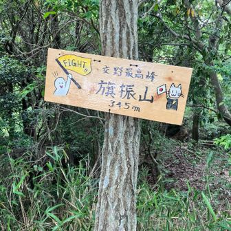 旗振山⛰️山頂