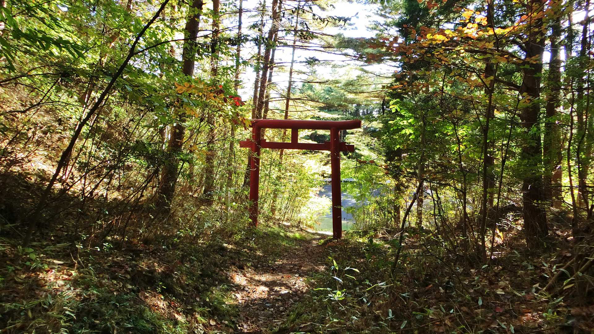 赤い鳥居まで戻って来て無事げざーんです😊✌