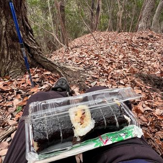 猪がブヒー🐗と鳴いてびびったけど、腹がグーっと鳴って歩けないので、猪に怯えつつ太巻きを食べる。
関西の太巻きうめえな〜。
出汁の染みた高野豆腐入ってんだよ。

赤線無しのバリだけど、踏み跡明瞭でとにかく長くて飽きて来る。
メモにある危険箇所は2箇所ほどで、木につかまって慎重に通過すれば問題無い。