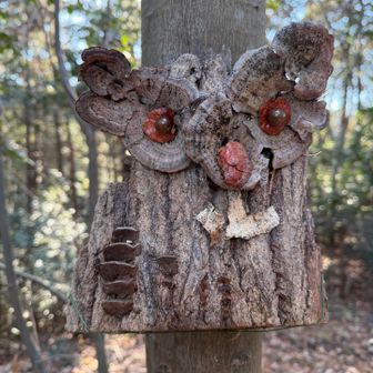 良くできてる🦉👍