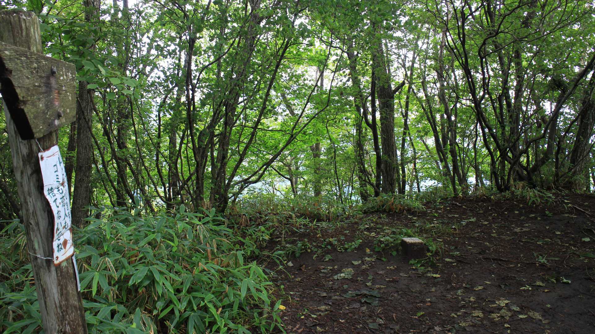 山頂は狭くほぼ通り道