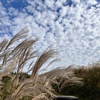 空の色と雲がきれいで何枚も撮ってしまう