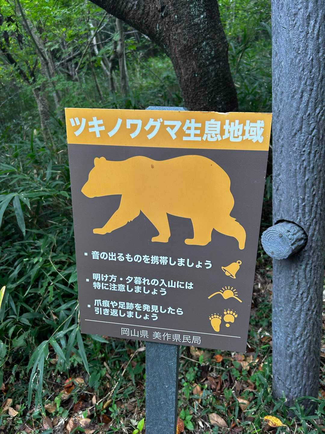 熊怖い😨