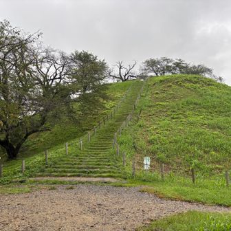 丸墓山の正面♪