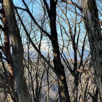 木々の合間から
浅間山