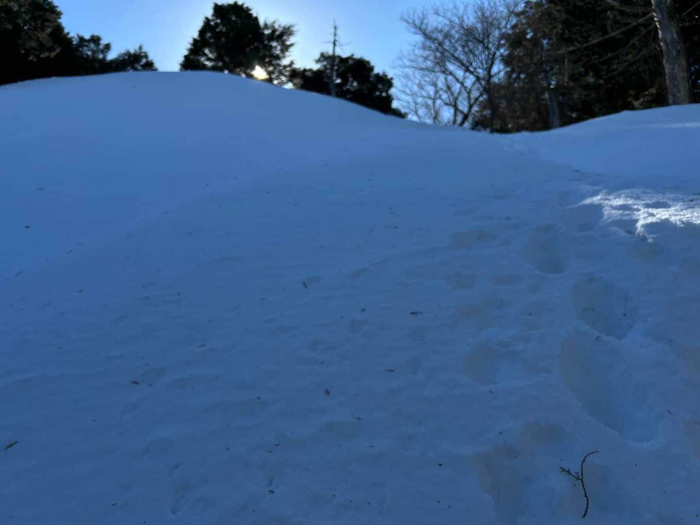 ほぼ壁😅 巻道に気付かず 直登してしまった💦
なんとか登り切れたから良かった