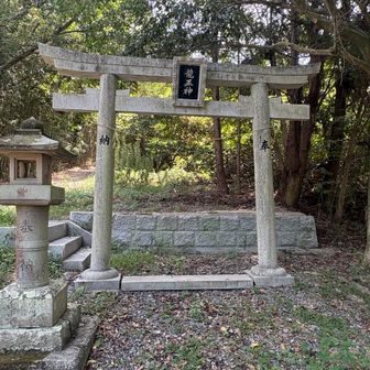龍王神の鳥居⛩️が山道脇に