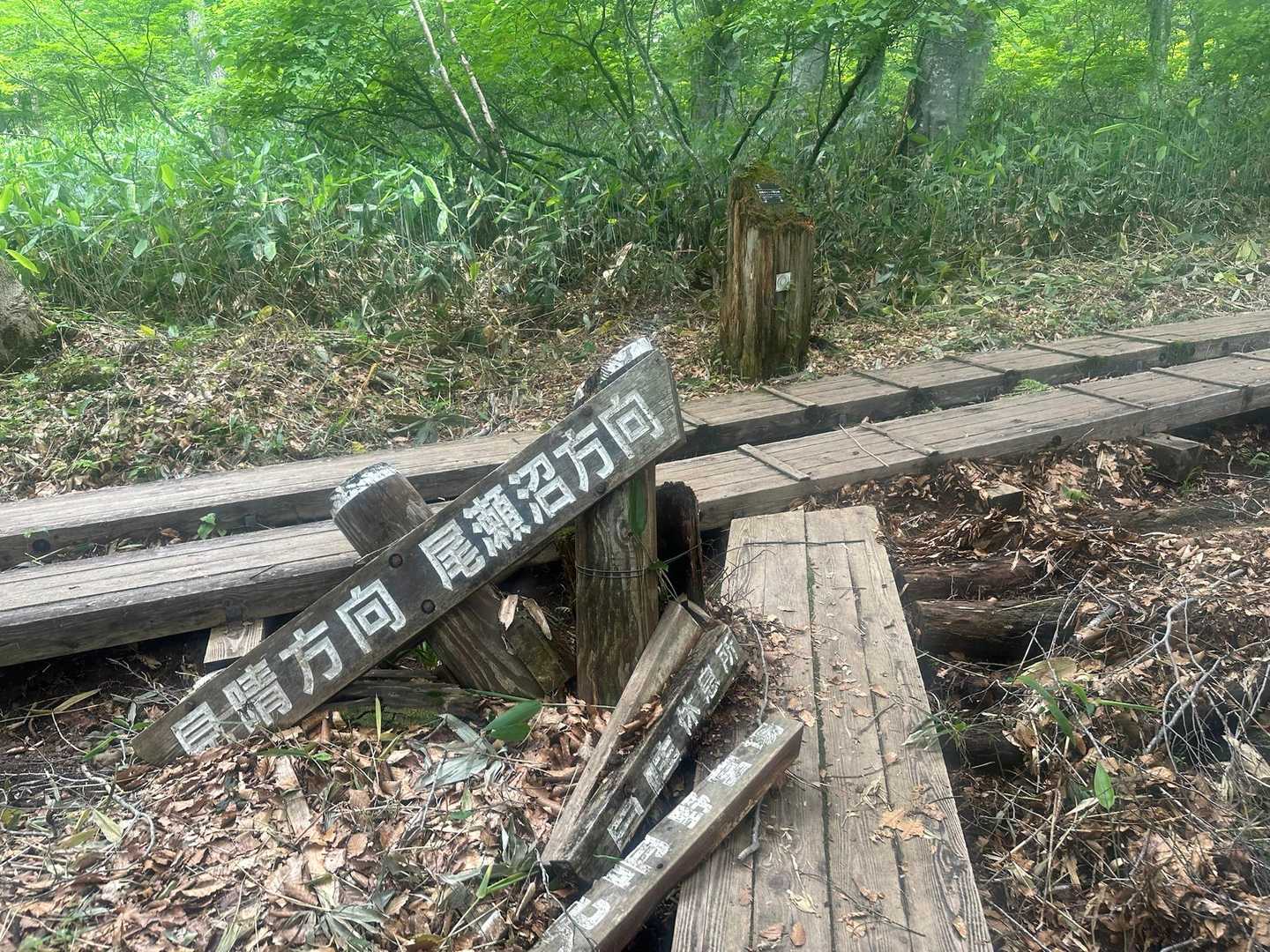 さて歩くぞ〜！