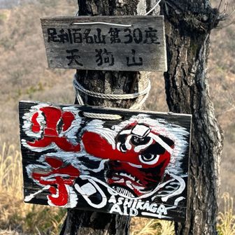 天狗岩を越えて天狗山