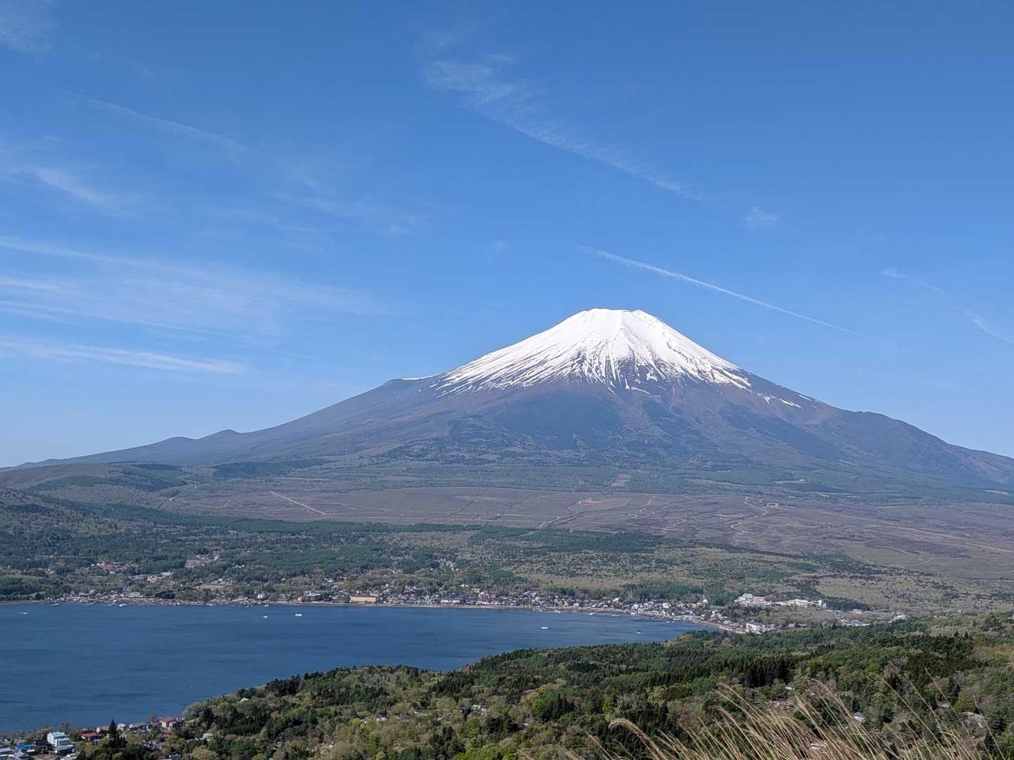 長池親水公園前バス停-大平山ハイキングコース入口-大平山- 周回コースの写真