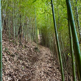 家から２時間半以上かかって収穫なし💔

残念だけど、今日は
無事に戻って来れたことに感謝しよう🙏✨
