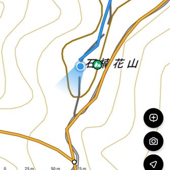 烏帽子岩から来たので三角点分かったけど、メインルート辿っていたら素通りしていた。