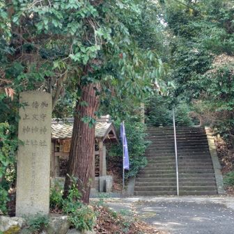 加守⛩️さんにご挨拶🙏。

最近、日本書紀の本を読んで加守⛩️の由来が分かるかと期待したけど、あまり詳しくは書かれていなくて残念だったな。
でも登場はしていました。それだけでも十分すごい😆。