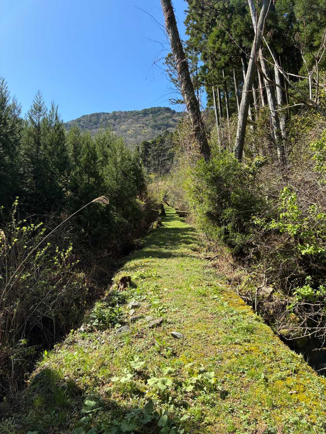 登山口から登山口までは、ほぼ一直線🫵